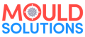 Mould Solutions Dublin 1